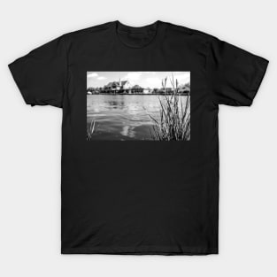 Reeds on the river bank T-Shirt